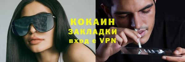 бошки Мегион