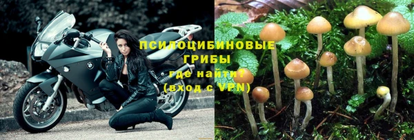 бошки Мегион