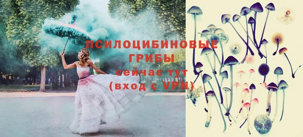 Альфа ПВП Медвежьегорск