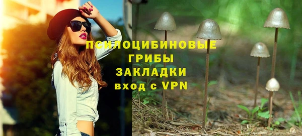 бошки Мегион