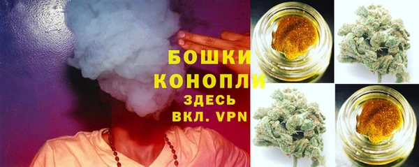 бошки Медногорск