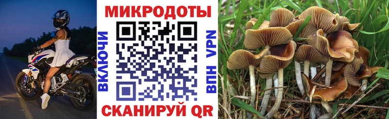 купить наркотики сайты  Щёкино  площадка наркотические препараты  Галлюциногенные грибы мухоморы 